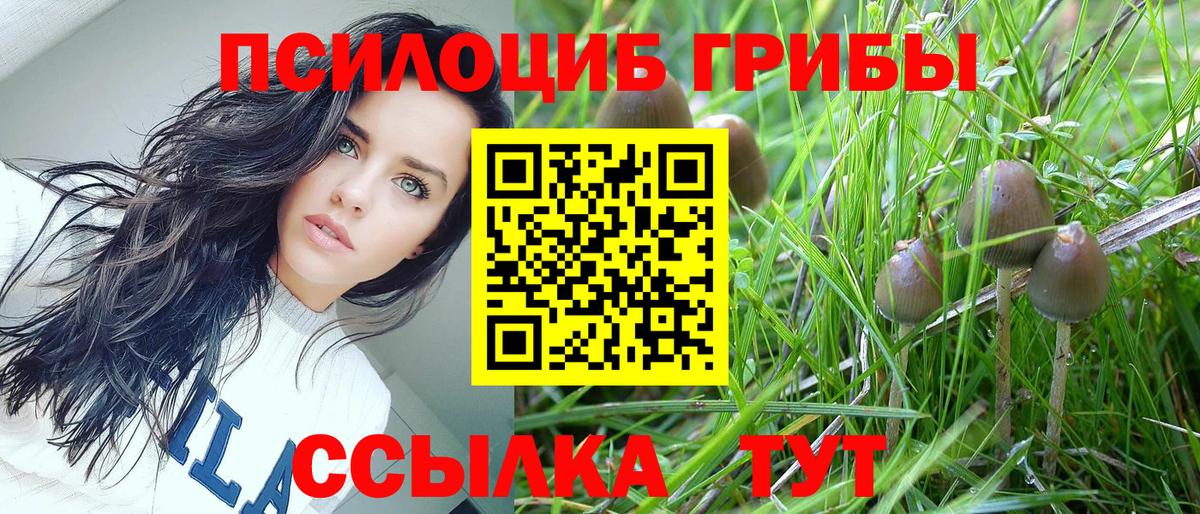 Нефтеюганск  Псилоцибиновые грибы прущие грибы  Вход с VPN 